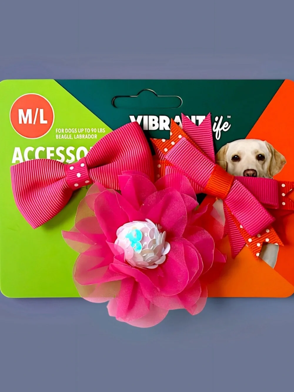Vibrant Life Pink Dog Bows Accessories 3-Piece Set